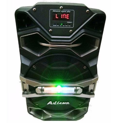 Колонка на аккумуляторе с микрофоном Ailiang UF-8008 AK-DT/100W (USB/Bluetooth/FM) акустическая система