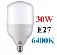 Светодиодная лампа 30W Е27 6400K промышленная HOROZ TORCH LED