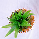 Штучний муляж Стиглий Ананас 26 см, фото 3