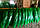 Штучна ялинка "Сосна зелена" (Сосна) 1.80 м. Класична темно-зелена., фото 6