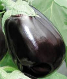 Насіння баклажан Галіне F1 5 г насіння, фото 2