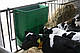 Кормовий автомат 100 л для телят та ін. дрібної худоби, OK Plast Данія, фото 4