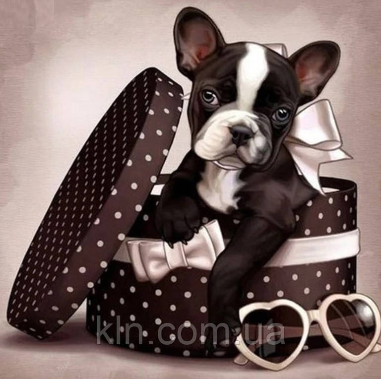 Алмазна вишивка на дерев'яному підрамнику 30 х 30 см Щеня в коробці (арт. TN842), фото 1