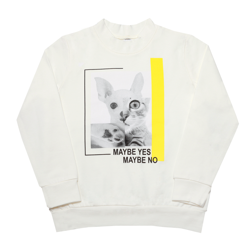 Светр дитячий для дівчинки GABBI DG-19-37-1 Написи Молочний на зріст 104 (11852)