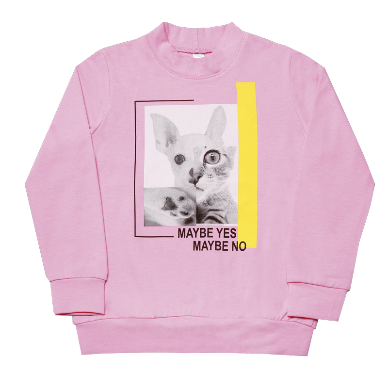 Светр дитячий для дівчинки GABBI DG-19-37-1 Написи Рожевий на зріст 104 (11852)