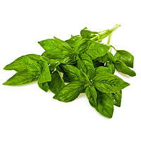 Базилік сушений (20 грамів)