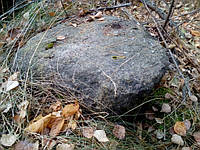 Валун лісовий з натурального каменю