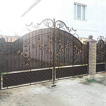 Ворота ковані Рідків ( Рыдков), фото 3