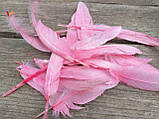 Пір'я рожеві декоративні h-8-17 cм, 20 шт\уп, фото 2