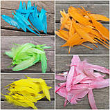 Пір'я декоративне для творчості, h- 8-17 см, 20 шт\уп, фото 4