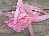 Пір'я рожеві декоративні h-8-17 cм, 20 шт\уп, фото 3