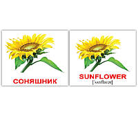 Англо-украинские карточки Домана МИНИ Квіти/Flowers 20 Вундеркинд с пелёнок 2100063276324