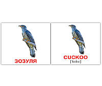 Англо-украинские карточки Домана МИНИ Птахи/Birds 40 Вундеркинд с пелёнок 2100064455315