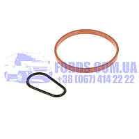 Прокладка вакуумного насоса FORD 1.4 TDCI/1.5 TDCI/1.6 TDCI (Комплект 2ШТ) (1743896/AV6Q2A454AA/BS44454) DP