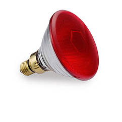 Лампа інфрачервона PAR38 для обігріву, 175 Вт