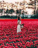 Картина по номерам Brushme 40х50 Девушка в поле тюльпанов Лиссе (GX24932)