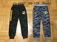 Спортивные утепленные штаны для мальчиков оптом, Active Sports, 98-128 см, № HZ-6867