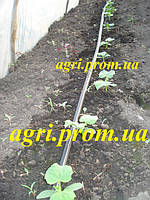 Монтаж систем крапельного поливу