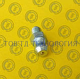 Прес-оливка за ГОСТ 19853-74, DIN 71412 М5х0.8К, фото 2