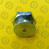 Прес-оливка за ГОСТ 19853-74, DIN3404, ТРГ, M6, фото 2