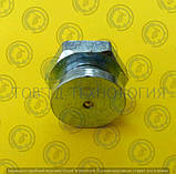 Прес-оливка за ГОСТ 19853-74, DIN3404, ТРГ, M6, фото 5