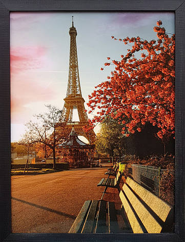 Фотокартина в дерев'яній рамі Paris 5 30х40 см POS-3040-008, фото 1