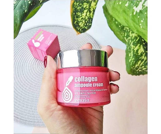 Крем для обличчя з колагеном Zenzia Collagen Ampoule Cream 70ml, фото 3
