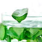 Ковдра 200х220см літній Aloe Vera стеганное, фото 4