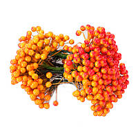 Калина гладка ПОМАРАНЧЕВО-ЧЕРВОНА, 46-50 шт, d=8 мм