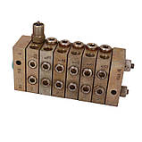 Послідовник послідовний мастильнийМІ-3МІ-4МІ-5МІ-6МІ-7, фото 3