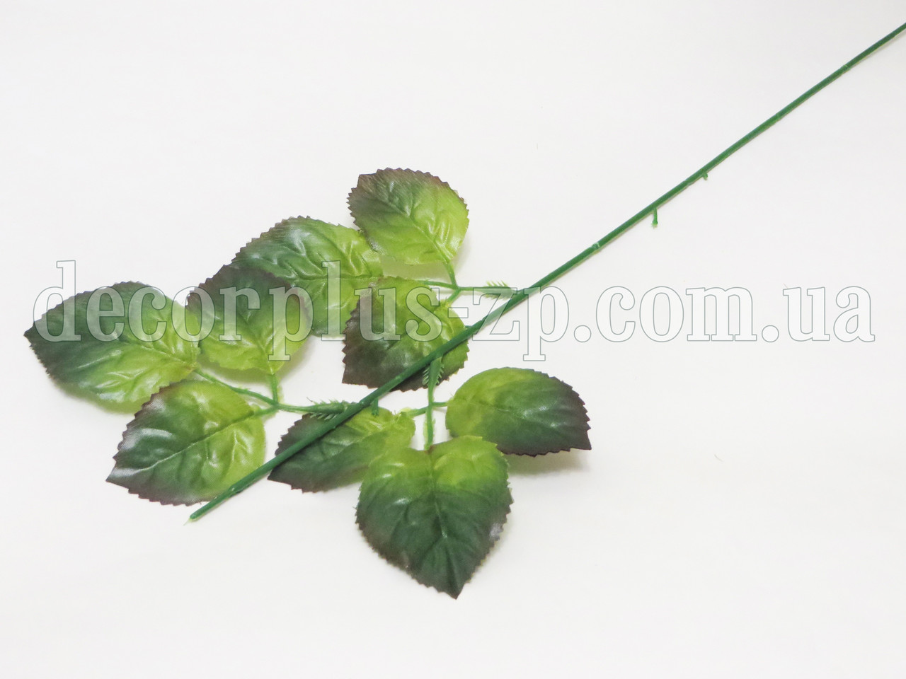 Ніжка троянди 57см, з 3-я листочками, фото 1