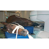 Ветеринарний томограф Vet-MR Grande, фото 2