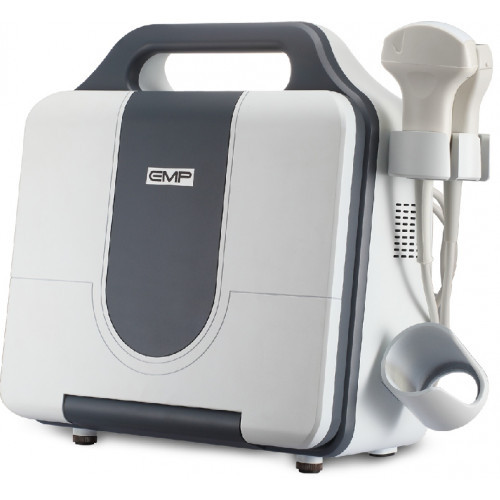 Ультразвуковий апарат EMP, фото 1