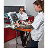 УЗД сканер MyLab ONE Vet, фото 2