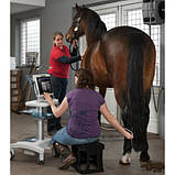 УЗД сканер MyLab ONE Vet, фото 3