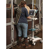 УЗД сканер MyLab ONE Vet, фото 4