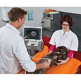 УЗД сканер MyLab ONE Vet, фото 10