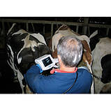 УЗД для тваринництва Tringa Vet, фото 3