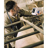 УЗД для тваринництва Tringa Vet, фото 5