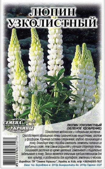 Купить Люпин Кормовой Семена