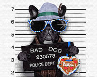 Картина по номерам Bad Dog (BK-GX31946) 40 х 50 см (Без коробки)