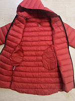 Куртка для дівчаток, Glo-Story, 110 см, № GMA-7372, фото 2