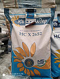 Насіння соняшнику НС Х 2652 Екстра Юа Агролидер, фото 2