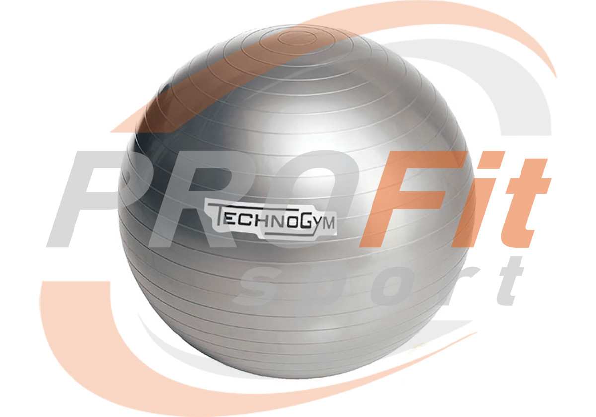 Мяч для фитнеса (фитбол) TECHNOGYM 65 см Серебристый - фото 1 - id-p1064527193