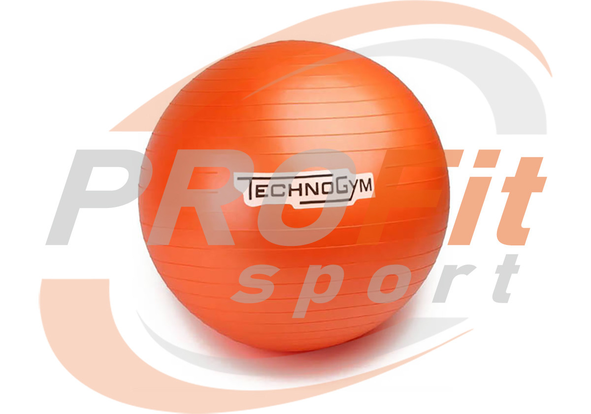 Мяч для фитнеса (фитбол) TECHNOGYM 65 см Оранжевый - фото 1 - id-p1064527192