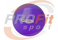 Мяч для фитнеса (фитбол) TECHNOGYM 65 см Фиолетовый