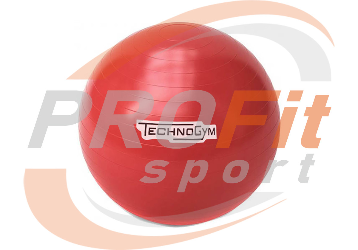 Мяч для фитнеса (фитбол) TECHNOGYM 75 см Красный - фото 1 - id-p1064531788