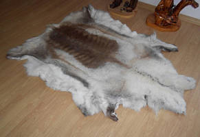 Шкура оленя північного оленя світлого забарвлення