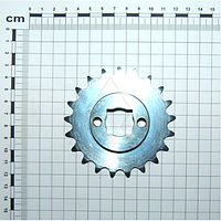 Звездочка G22250048 Z-21 Gaspardo SV