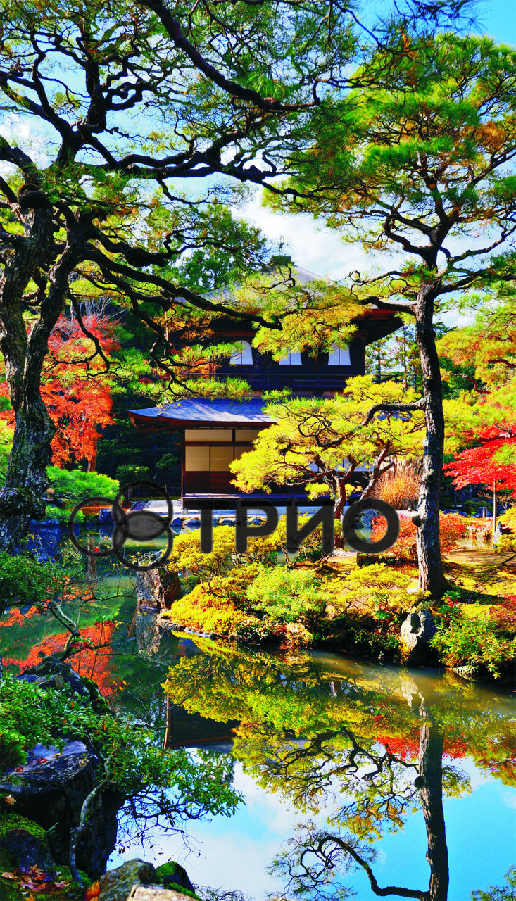 Настінний нагрівач "Японський сад (сад Кіото)"
